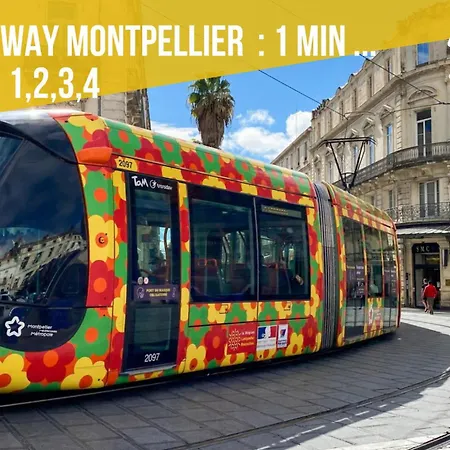 Climatise, 4 Personnes, Centre Historique, Comedie, Tram & Gare Apartment *